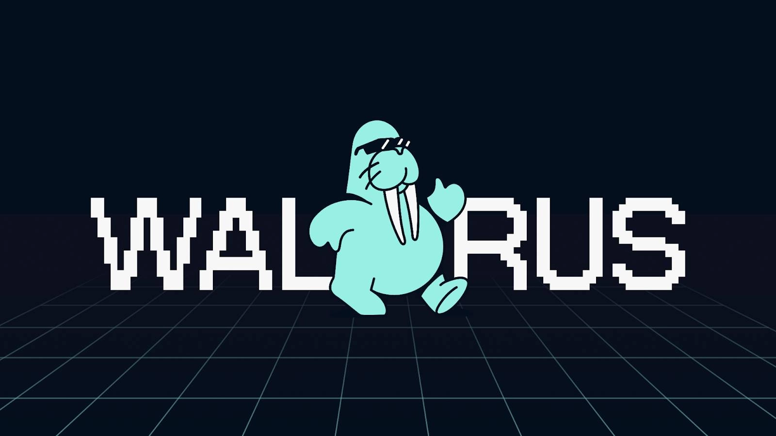 1-4-1 Walrus là gì?